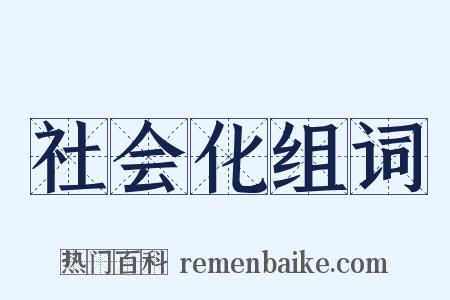 社会化组词是什么意思的图片